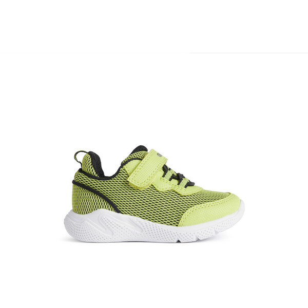 B SPRINTYE B.E - REC TE+PR.DBK