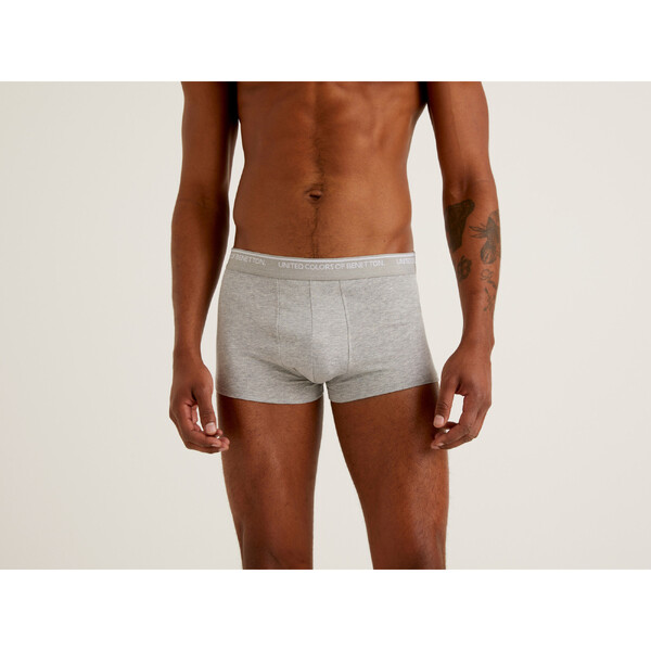 BOXER - TRENÝRKY