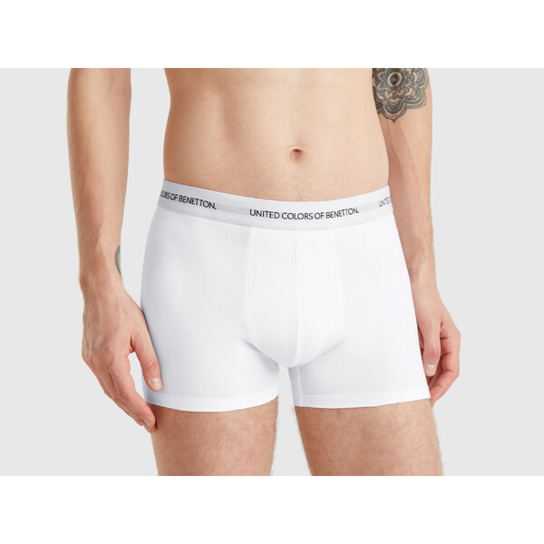 BOXER - TRENÝRKY